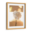 Clavel de luz - Barán | Cuadro decorativo de Canvas Lab