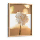 Clavel de luz - Barán | Cuadro decorativo de Canvas Lab