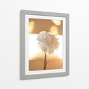 Clavel de luz - Barán | Cuadro decorativo de Canvas Lab