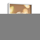 Clavel de luz - Barán | Cuadro decorativo de Canvas Lab