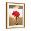 Clavel Rojo - Barán | Cuadro decorativo de Canvas Lab