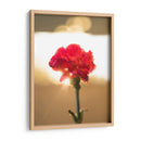 Clavel Rojo - Barán | Cuadro decorativo de Canvas Lab