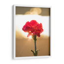 Clavel Rojo - Barán | Cuadro decorativo de Canvas Lab