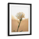 Flor en el sol - Barán | Cuadro decorativo de Canvas Lab