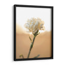 Flor en el sol - Barán | Cuadro decorativo de Canvas Lab