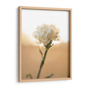 Flor en el sol - Barán | Cuadro decorativo de Canvas Lab