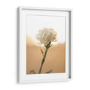 Flor en el sol - Barán | Cuadro decorativo de Canvas Lab