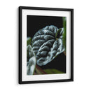 Hoja de planta - Barán | Cuadro decorativo de Canvas Lab