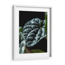 Hoja de planta - Barán | Cuadro decorativo de Canvas Lab