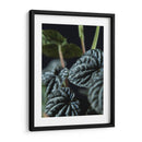 Hojas de planta - Barán | Cuadro decorativo de Canvas Lab