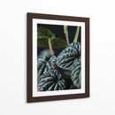 Hojas de planta - Barán | Cuadro decorativo de Canvas Lab