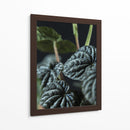 Hojas de planta - Barán | Cuadro decorativo de Canvas Lab