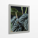 Hojas de planta - Barán | Cuadro decorativo de Canvas Lab