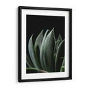 Maceta en acercamiento - Barán | Cuadro decorativo de Canvas Lab