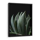 Maceta en acercamiento - Barán | Cuadro decorativo de Canvas Lab