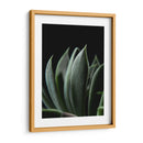 Maceta en acercamiento - Barán | Cuadro decorativo de Canvas Lab