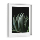 Maceta en acercamiento - Barán | Cuadro decorativo de Canvas Lab