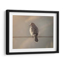 Pájaro al amanecer - Barán | Cuadro decorativo de Canvas Lab