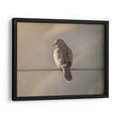 Pájaro al amanecer - Barán | Cuadro decorativo de Canvas Lab