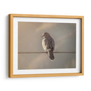 Pájaro al amanecer - Barán | Cuadro decorativo de Canvas Lab