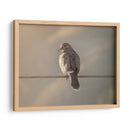 Pájaro al amanecer - Barán | Cuadro decorativo de Canvas Lab