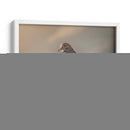 Pájaro al amanecer - Barán | Cuadro decorativo de Canvas Lab