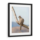 Pájaro en árbol - Barán | Cuadro decorativo de Canvas Lab