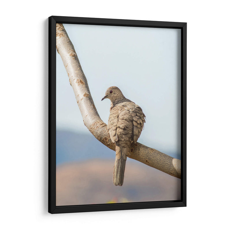 Pájaro en árbol - Barán | Cuadro decorativo de Canvas Lab