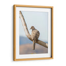 Pájaro en árbol - Barán | Cuadro decorativo de Canvas Lab