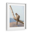 Pájaro en árbol - Barán | Cuadro decorativo de Canvas Lab