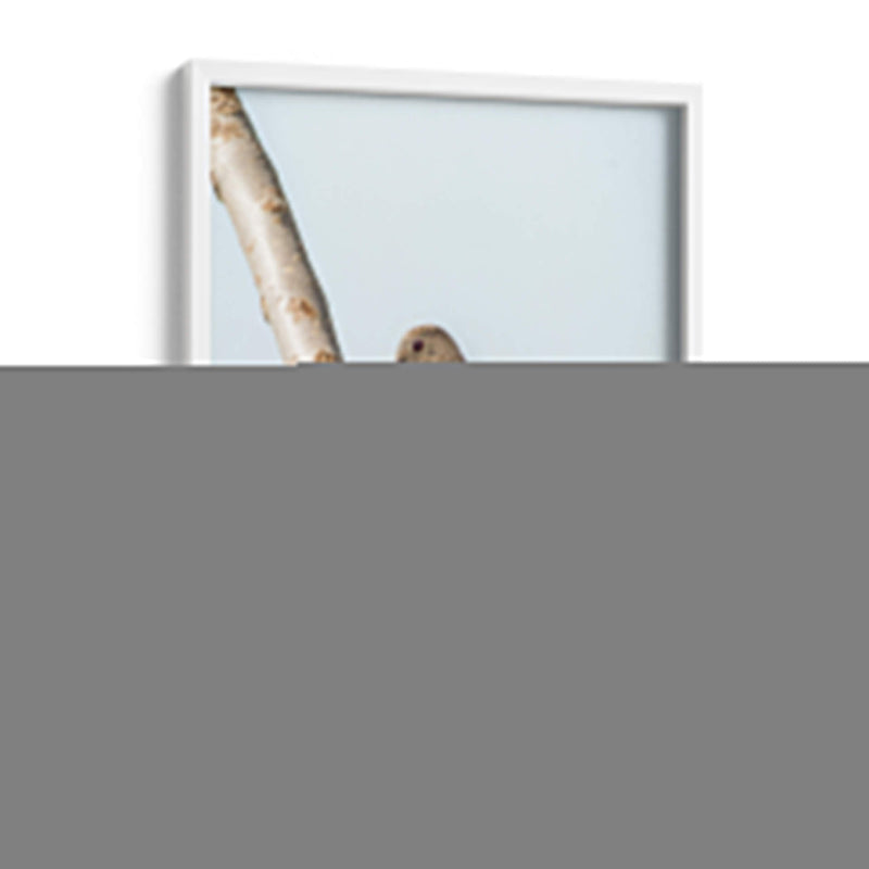 Pájaro en árbol - Barán | Cuadro decorativo de Canvas Lab