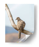 Pájaro en árbol - Barán | Cuadro decorativo de Canvas Lab