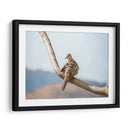 Pájaro en paisaje - Barán | Cuadro decorativo de Canvas Lab