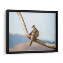 Pájaro en paisaje - Barán | Cuadro decorativo de Canvas Lab