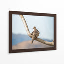 Pájaro en paisaje - Barán | Cuadro decorativo de Canvas Lab