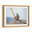 Pájaro en paisaje - Barán | Cuadro decorativo de Canvas Lab