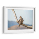 Pájaro en paisaje - Barán | Cuadro decorativo de Canvas Lab