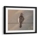 Paloma en paisaje - Barán | Cuadro decorativo de Canvas Lab