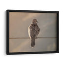 Paloma en paisaje - Barán | Cuadro decorativo de Canvas Lab