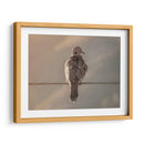 Paloma en paisaje - Barán | Cuadro decorativo de Canvas Lab