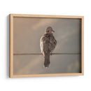 Paloma en paisaje - Barán | Cuadro decorativo de Canvas Lab