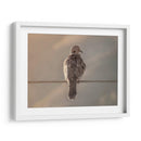 Paloma en paisaje - Barán | Cuadro decorativo de Canvas Lab