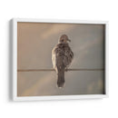 Paloma en paisaje - Barán | Cuadro decorativo de Canvas Lab