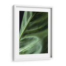 Piel de planta - Barán | Cuadro decorativo de Canvas Lab