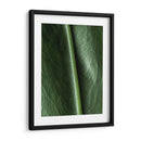 Piel natural - Barán | Cuadro decorativo de Canvas Lab