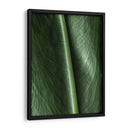 Piel natural - Barán | Cuadro decorativo de Canvas Lab