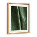 Piel natural - Barán | Cuadro decorativo de Canvas Lab