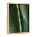 Piel natural - Barán | Cuadro decorativo de Canvas Lab