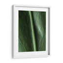 Piel natural - Barán | Cuadro decorativo de Canvas Lab