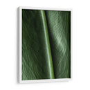 Piel natural - Barán | Cuadro decorativo de Canvas Lab